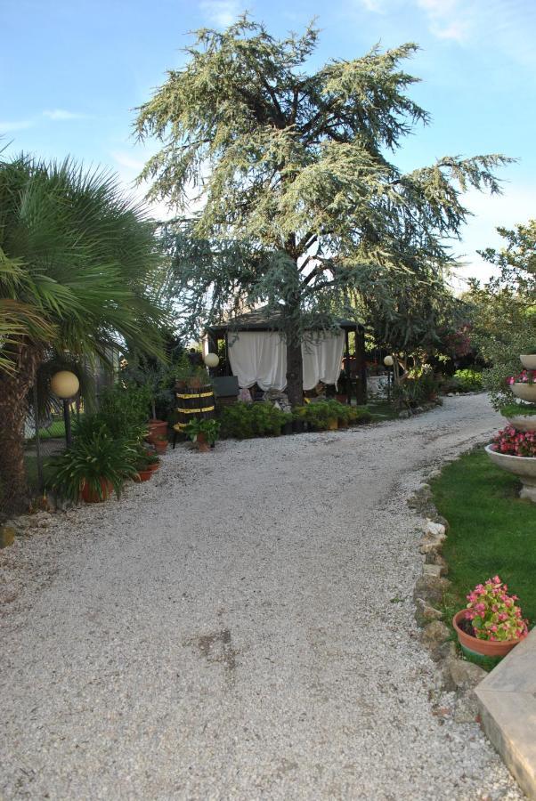 Villino Alle Terme Viterbo Eksteriør bilde