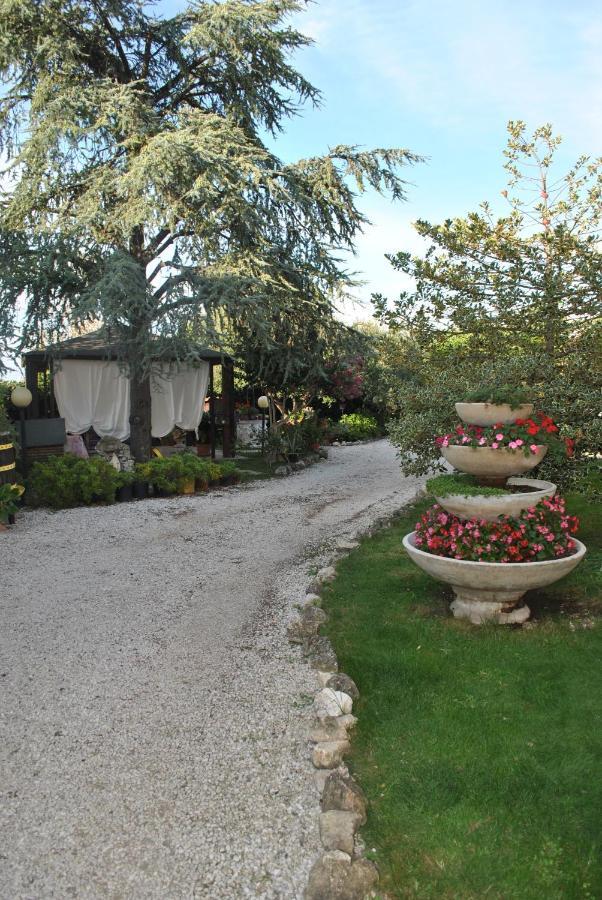 Villino Alle Terme Viterbo Eksteriør bilde